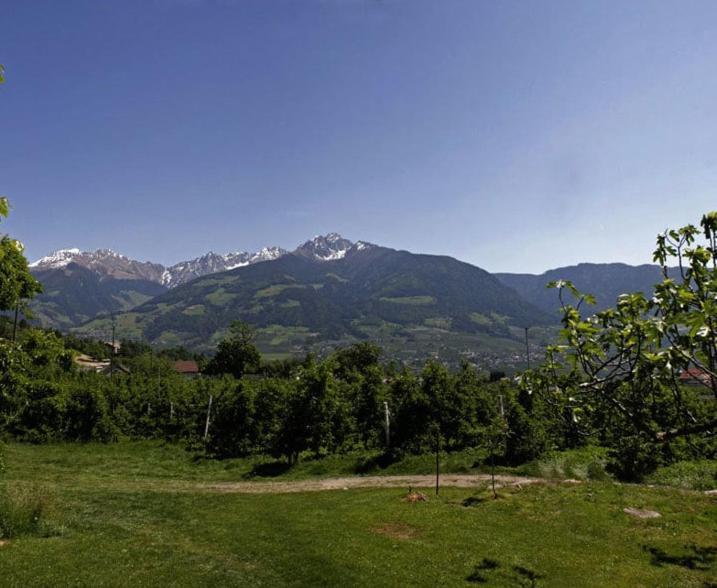 Residence Streitlhof Тироло Екстериор снимка