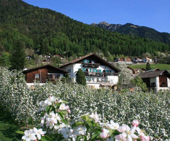 Residence Streitlhof Тироло Екстериор снимка